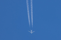 N74007